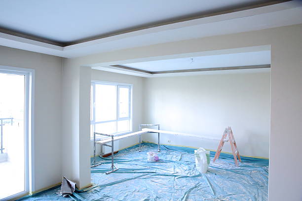 Best Painting for New Construction  in Minnetrista, MN